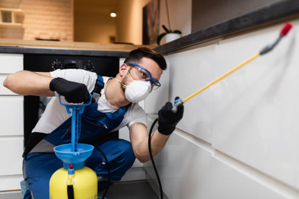 Best Wildlife Control Services  in Powell, WY