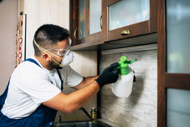 Best Affordable Pest Control Services  in Powell, WY