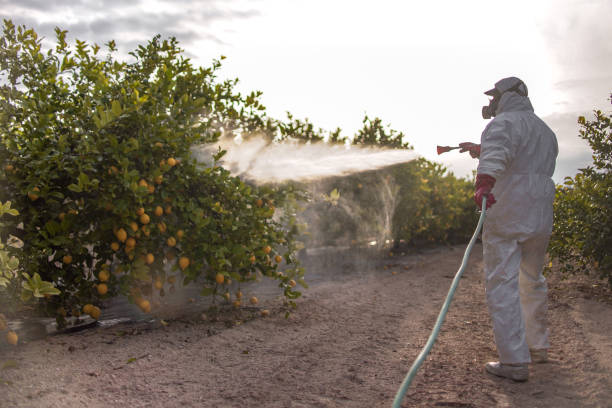 Reliable Powell, WY Pest Control Solutions