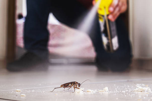 Best Cockroach Control Services  in Powell, WY