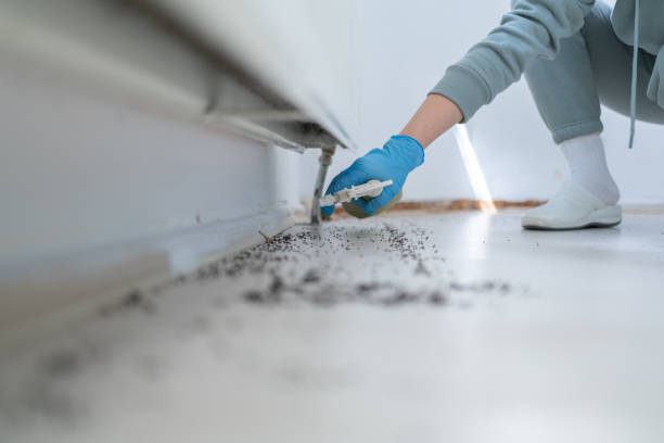 Best Commercial Pest Control Services  in Powell, WY